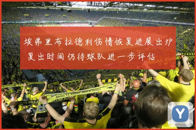 埃弗里布拉德利伤情恢复进展出炉 复出时间仍待球队进一步评估
