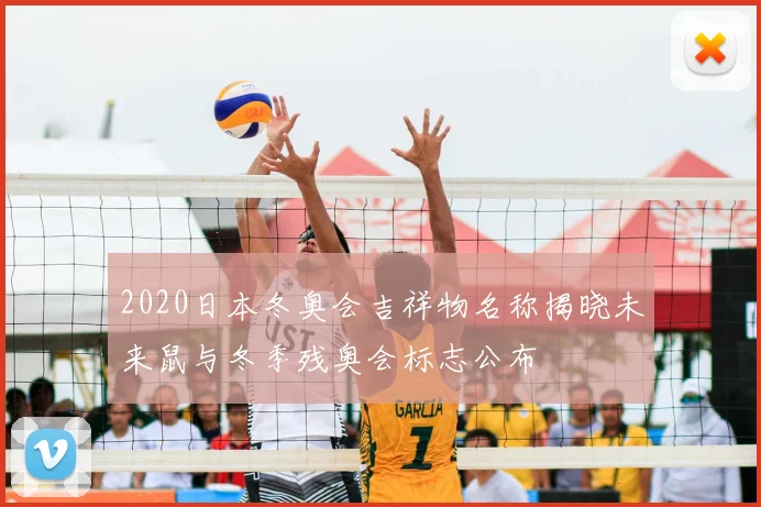 2020日本冬奥会吉祥物名称揭晓未来鼠与冬季残奥会标志公布