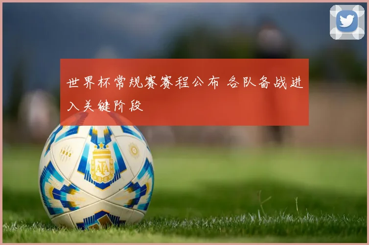 世界杯常规赛赛程公布 各队备战进入关键阶段